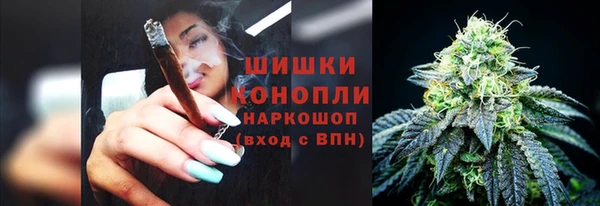гашик Снежинск