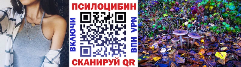 Псилоцибиновые грибы MAGIC MUSHROOMS  наркошоп  Елизово 